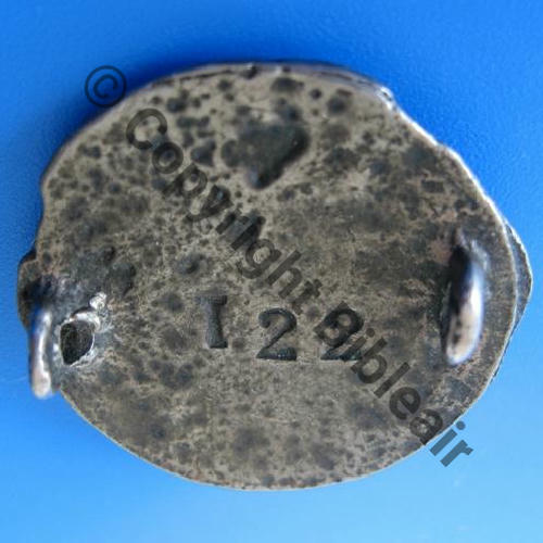 25.1.2 1940.45 BISON A0810NH 2eDRILLE GB.1.25 SQUADRON.347 TUNISIE ( SYRIE) SGC Mitrailleur 1940.45  Src.LTERZIAN RECTO 
